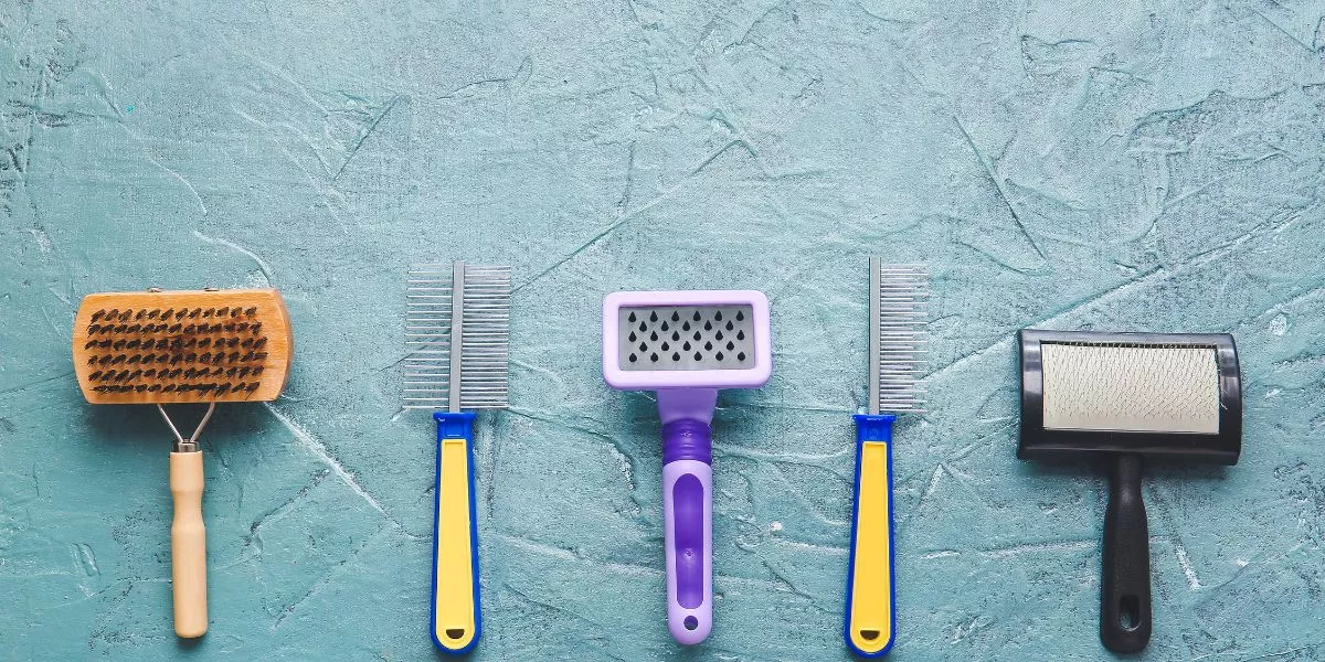 What Are the Best Grooming Products for Your Pet's Coat and Skin?