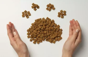 How Do You Choose the Best Food for Your Pet’s Health?