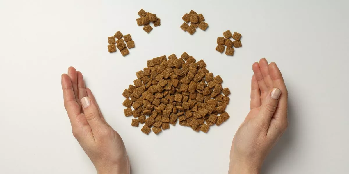 How Do You Choose the Best Food for Your Pet’s Health?