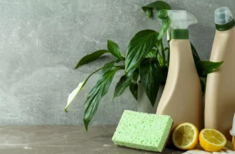 What Are the Top Benefits of Using Eco-Friendly Cleaning Products?