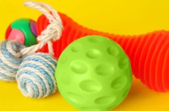 What Are the Top Toys to Keep Your Pet Entertained?