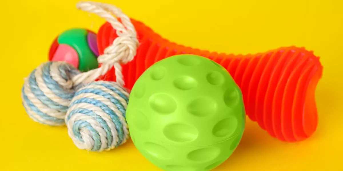 What Are the Top Toys to Keep Your Pet Entertained?